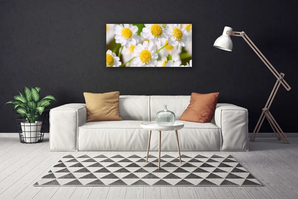 Quadro su tela Fiori della margherita della natura 100x50 cm