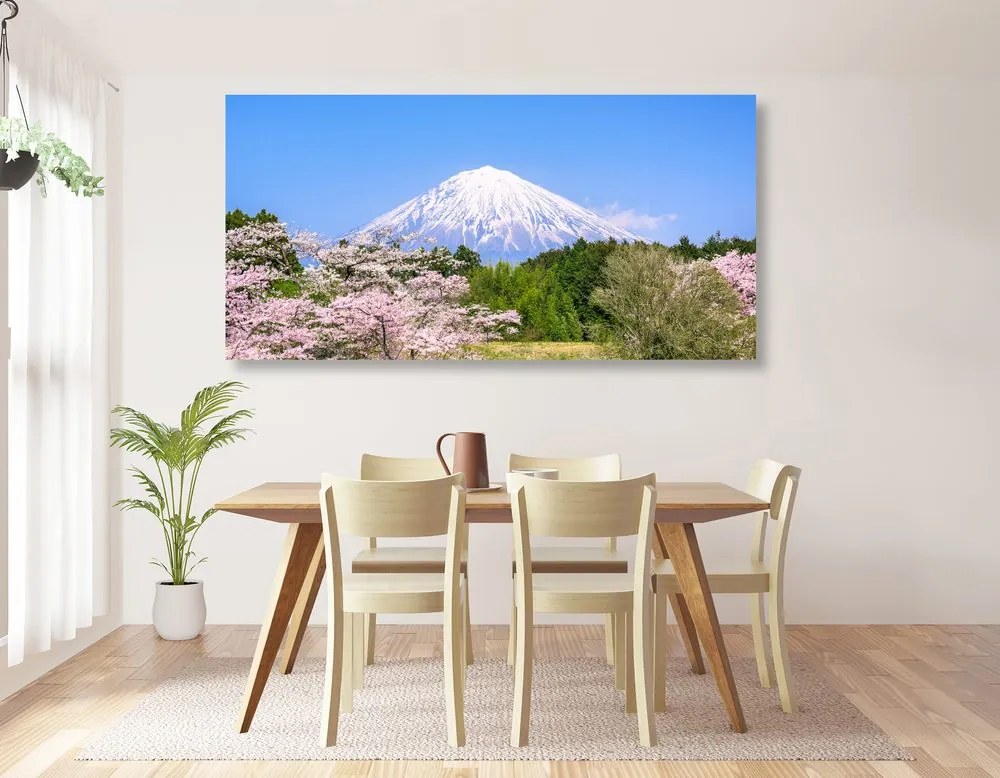Quadro su tela – Monte Fuji
