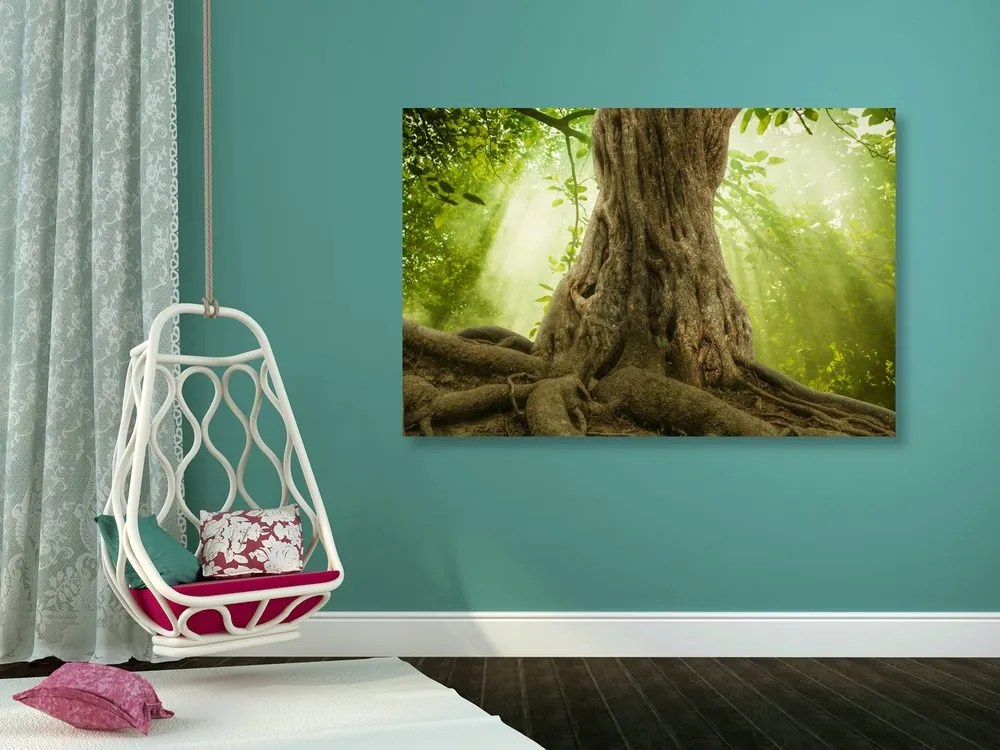 Quadro su tela – Radice dell'albero