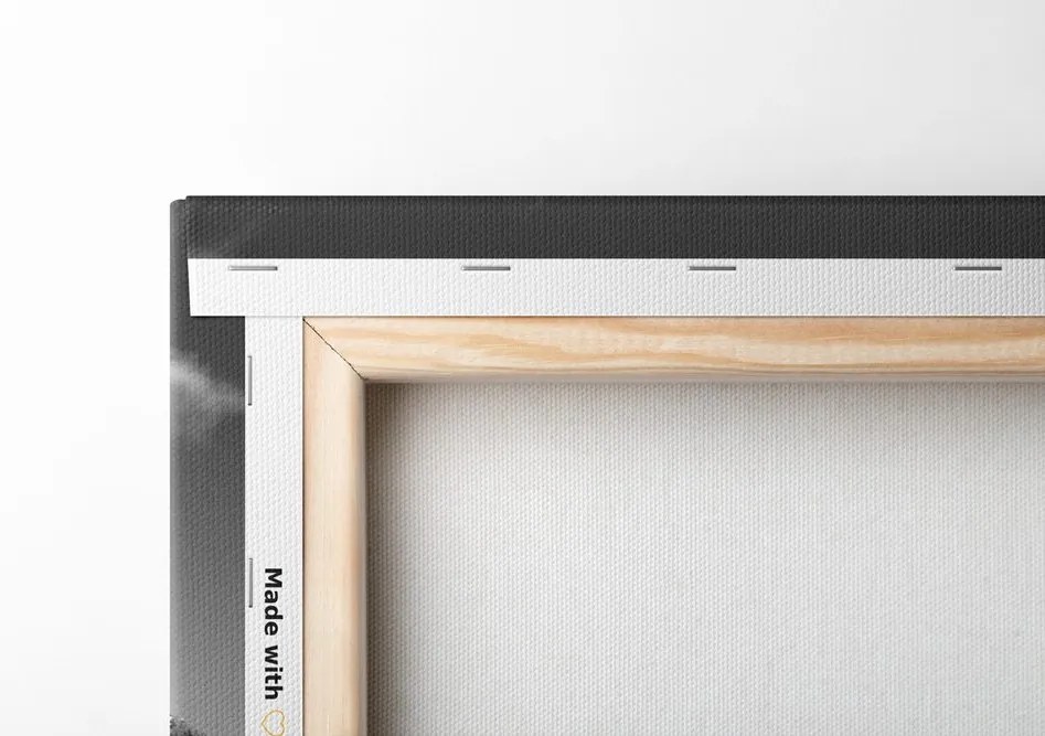 Quadro su tela – Catena montuosa innevata in bianco e nero