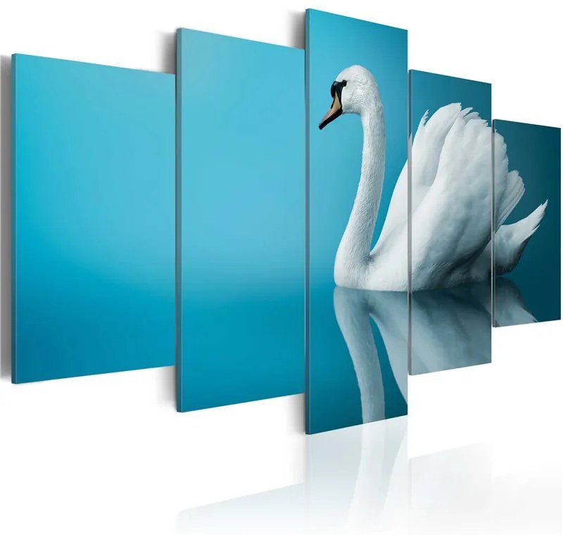 Quadro Cigno in azzurro  Colore Bianco, Dimensioni e Misure 100x50