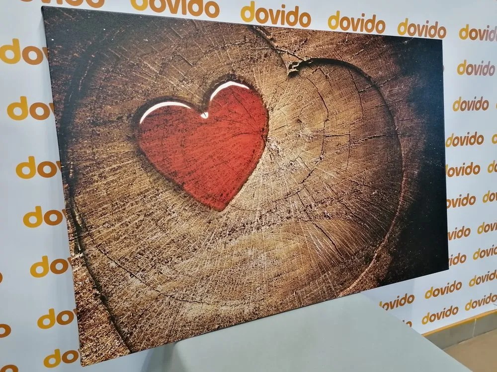 Quadro su tela – Cuore su tronco