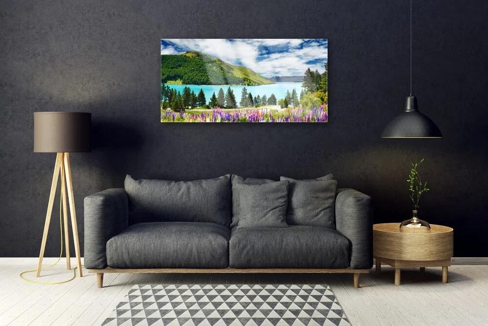 Quadro su vetro acrilico Paesaggio del lago della foresta di montagna 100x50 cm