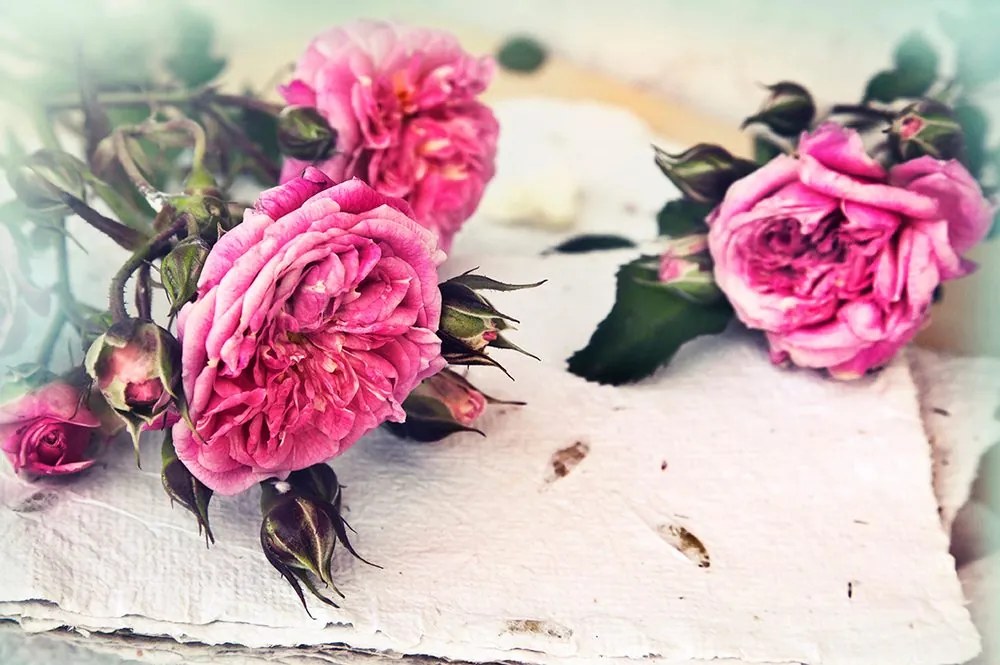 Carta da parati autoadesiva – Rose in fiore