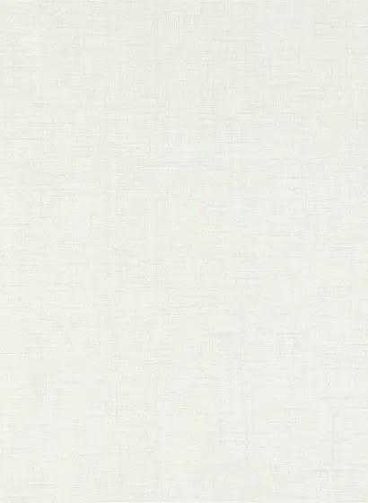 Vinyltapete Lint von Harlequin - Stone