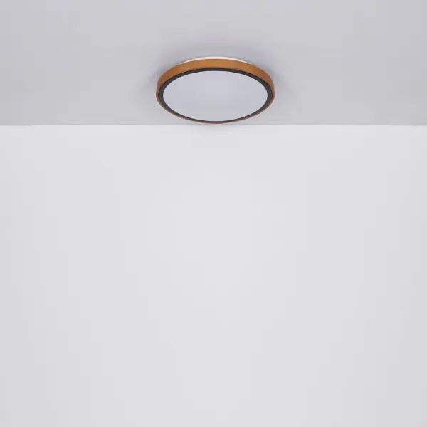 Globo 41764-12 - Plafoniera LED BRUNO LED/12W/230V 307 mm 3000/4500/6000K