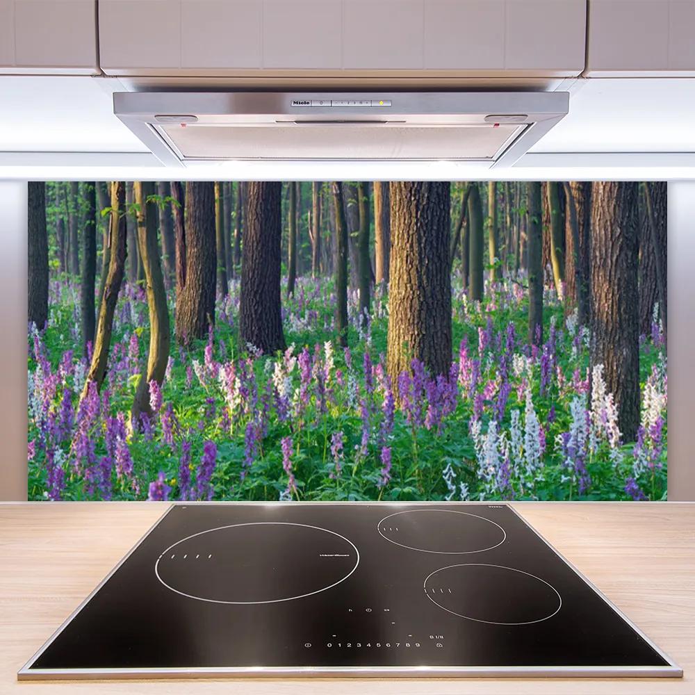 Schienali cucina Foresta dell'albero della natura 100x50 cm
