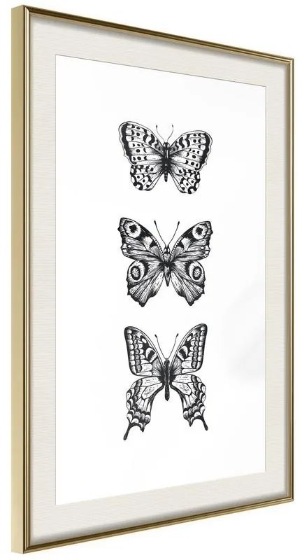 Poster Butterfly Collection III