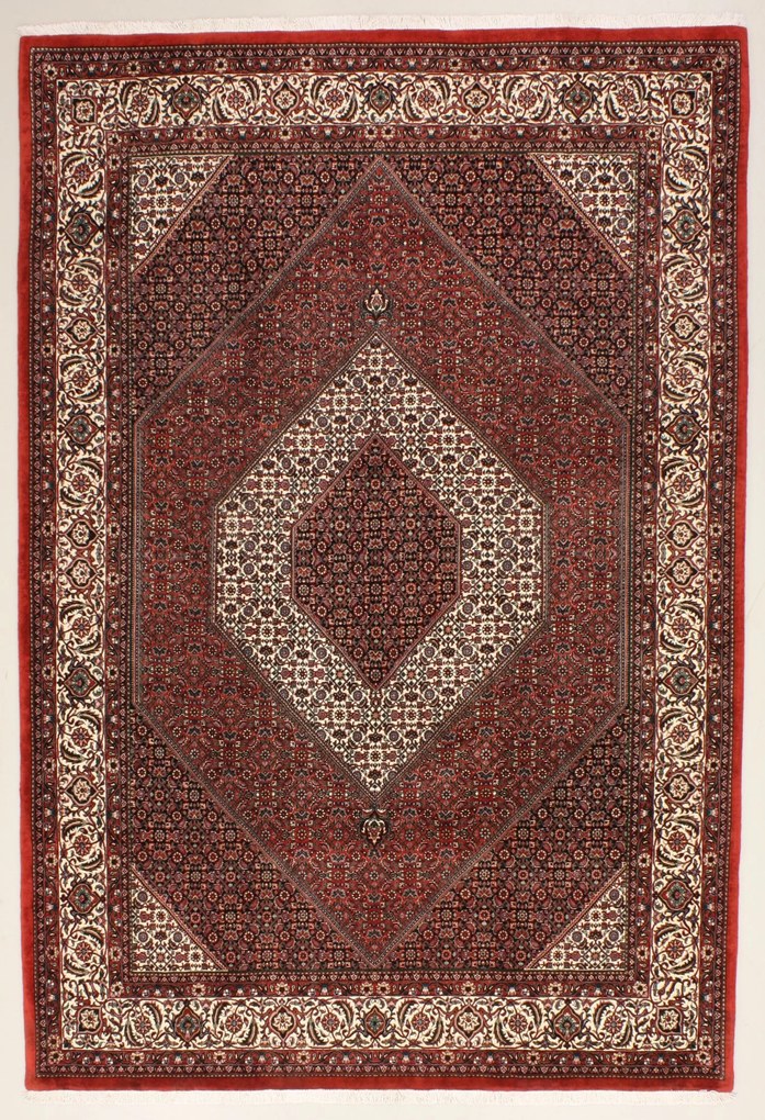 Bidjar Tappeto persiano 300x200 (Iran) Annodato A Mano