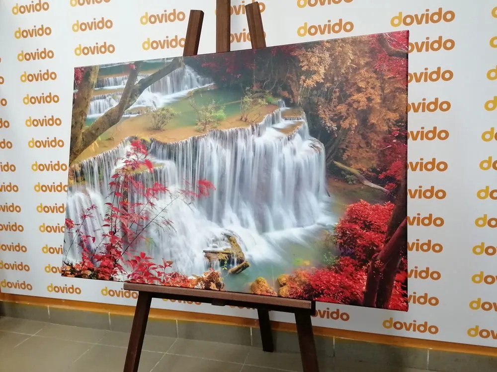 Stampa su tela – Cascata nella foresta