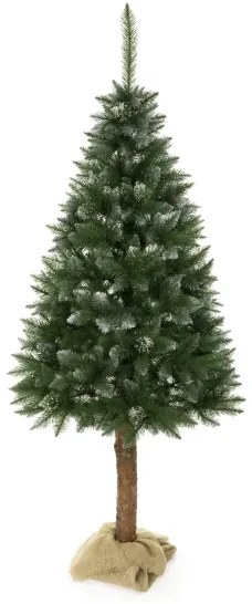 Albero di Natale su tronco 180 cm abete rosso