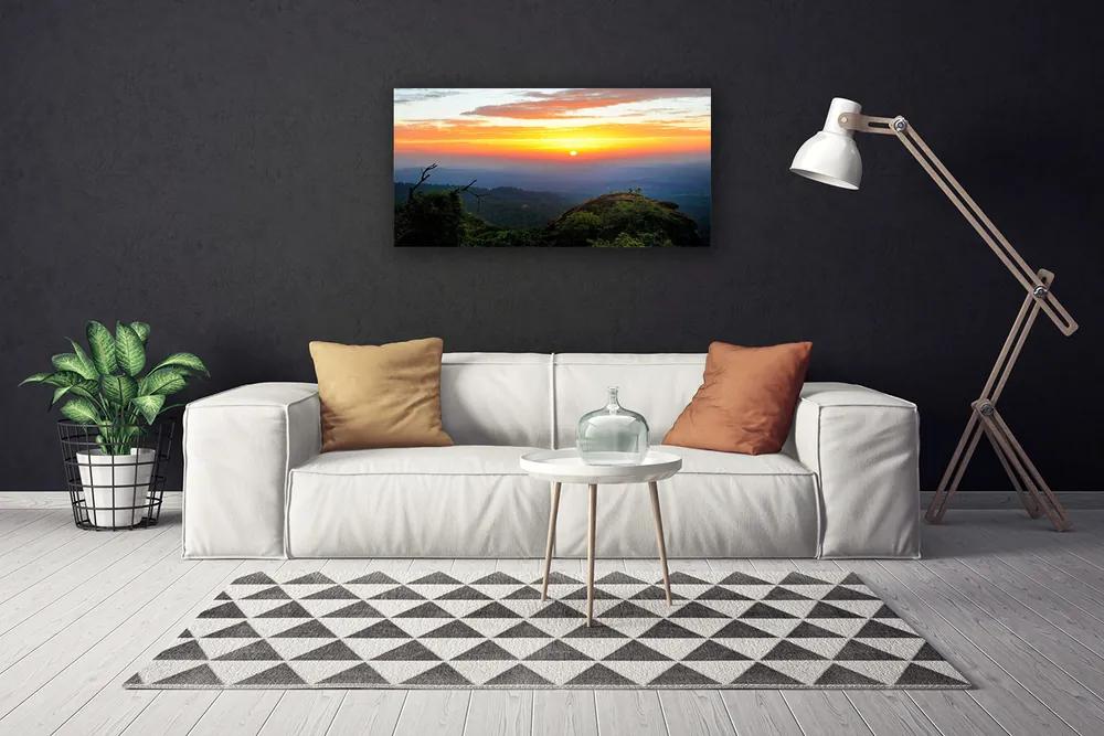 Quadro su tela Paesaggio della natura della foresta di montagna 100x50 cm