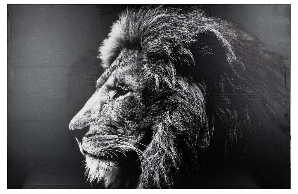 Quadro leone di profilo in bianco e nero Atmosphera Leone Tela Decorativo (118 x 78 x 3,5 cm)