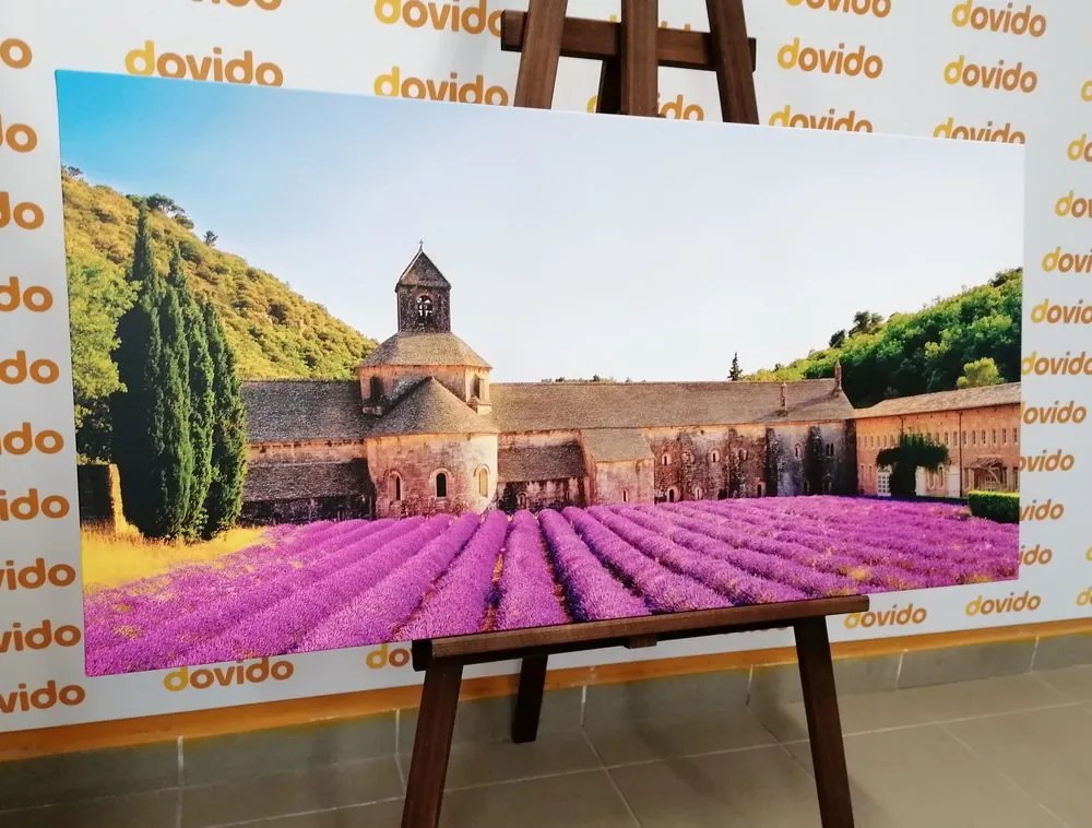 Stampa su tela – Provenza con campi di lavanda
