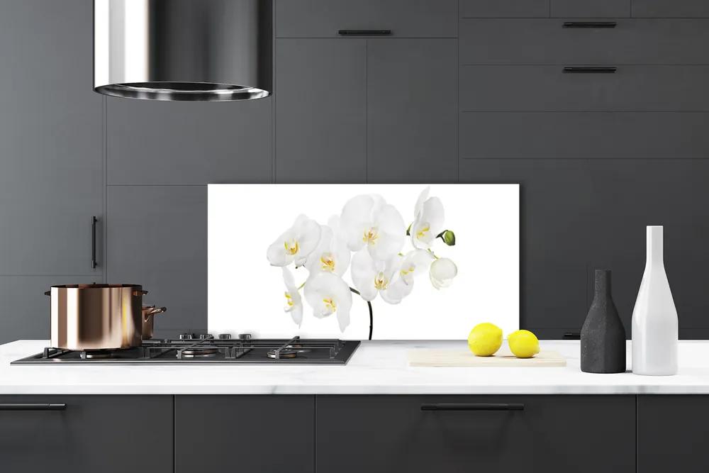 Rivestimento parete cucina Fiori di orchidea bianchi 100x50 cm
