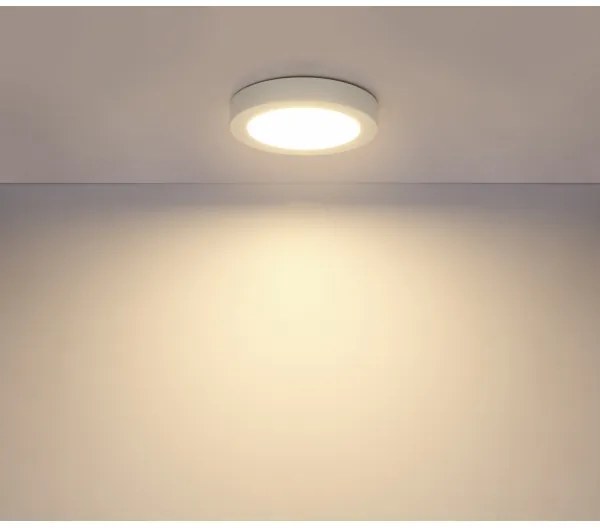 GLOBO 41605-18 - Plafoniera LED da soffitto per bagno PAULA LED/18W/230V IP44