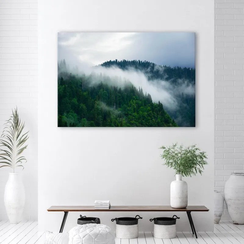 Quadro su tela, Foresta nella nebbia  Dimensioni 100x70