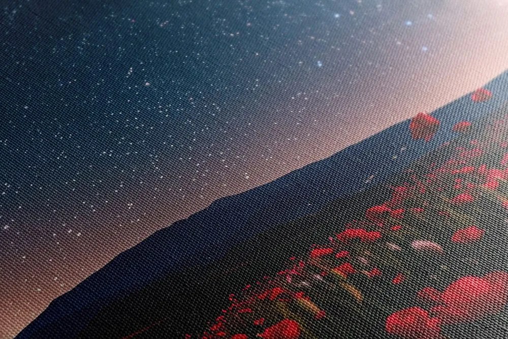 Quadro su tela – Prato di papaveri selvatici sotto le stelle