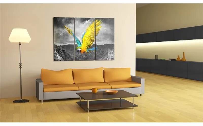 Quadro Uccello paradisiaco  Colore bianco e nero, Dimensioni e Misure 120x80