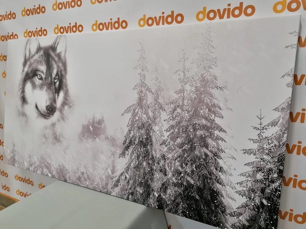 Quadro su tela – Lupo nel paesaggio innevato in bianco e nero