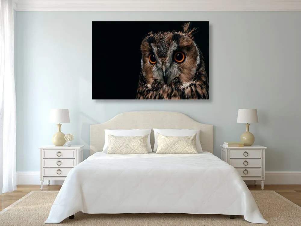 Quadro su tela – Gufo