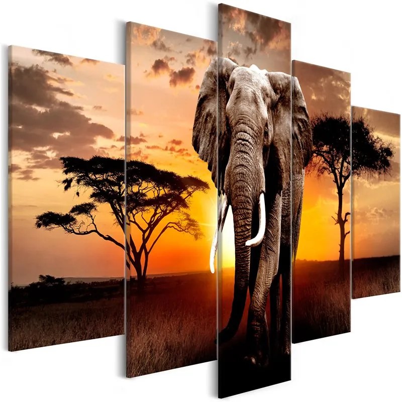 Quadro Wandering Elephant (5 Parts) Wide