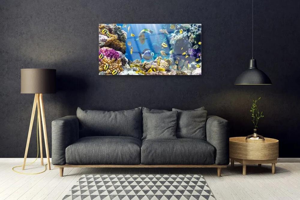 Quadro acrilico Natura della barriera corallina 100x50 cm