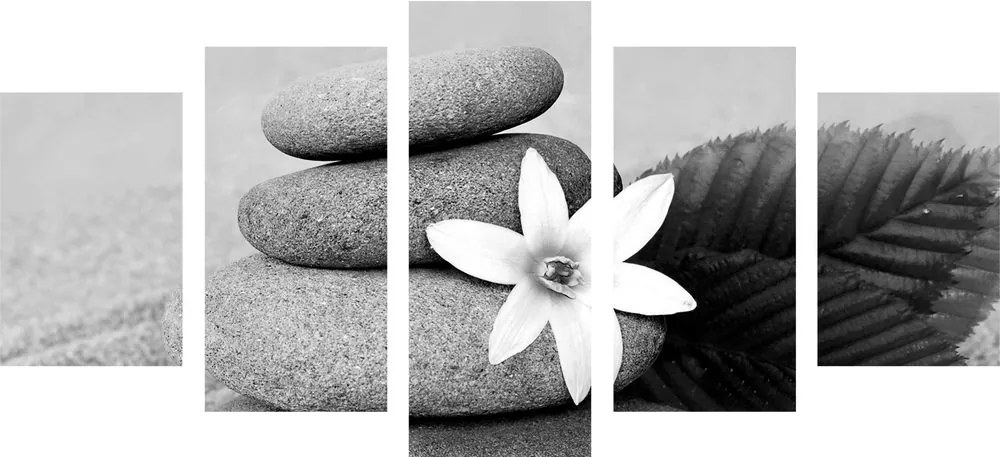 Quadri 5 pezzi – Fiore e pietre nella sabbia in bianco e nero