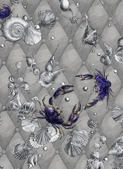 Edmond Petit Carta da parati Coquillage & Crustacés - RM116-02 - Gris