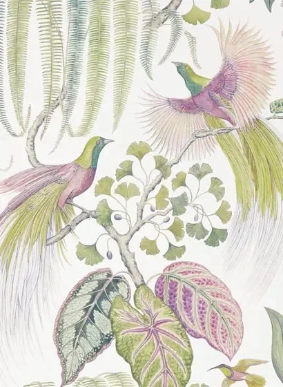 Sanderson Carta da parati Bird of Paradise - Orchid