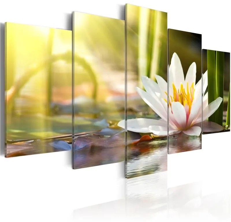 Quadro  Sunny Lotus  Colore Verde, Dimensioni e Misure 100x50