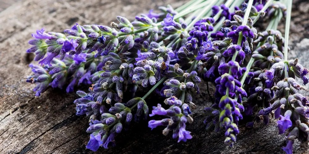 Stampa su tela – Bouquet di lavanda