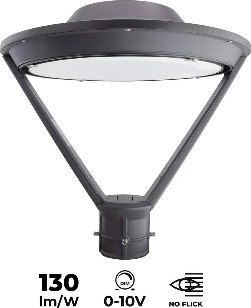 Lampione 50W 130lm/w No Flickering IP65 DIMMERABILE 0-10V Colore Bianco Naturale 4.200K