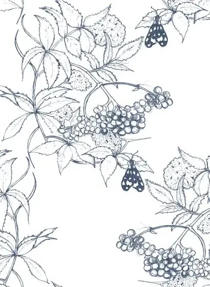 Ailanto Carta da parati Sambuco - Sketch Navy on White