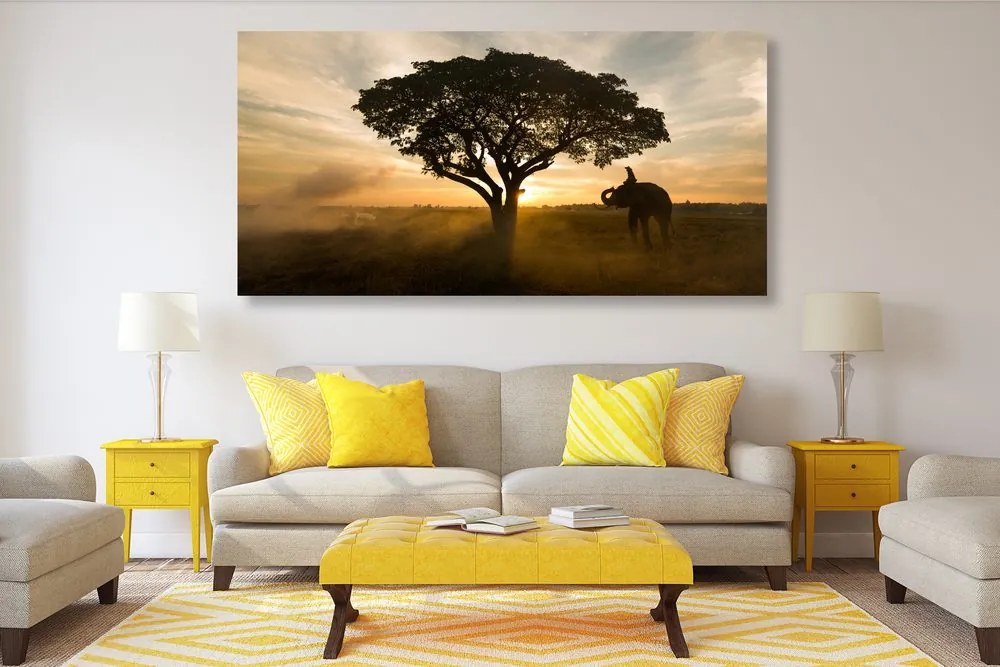 Quadro su tela – Elefante all'alba