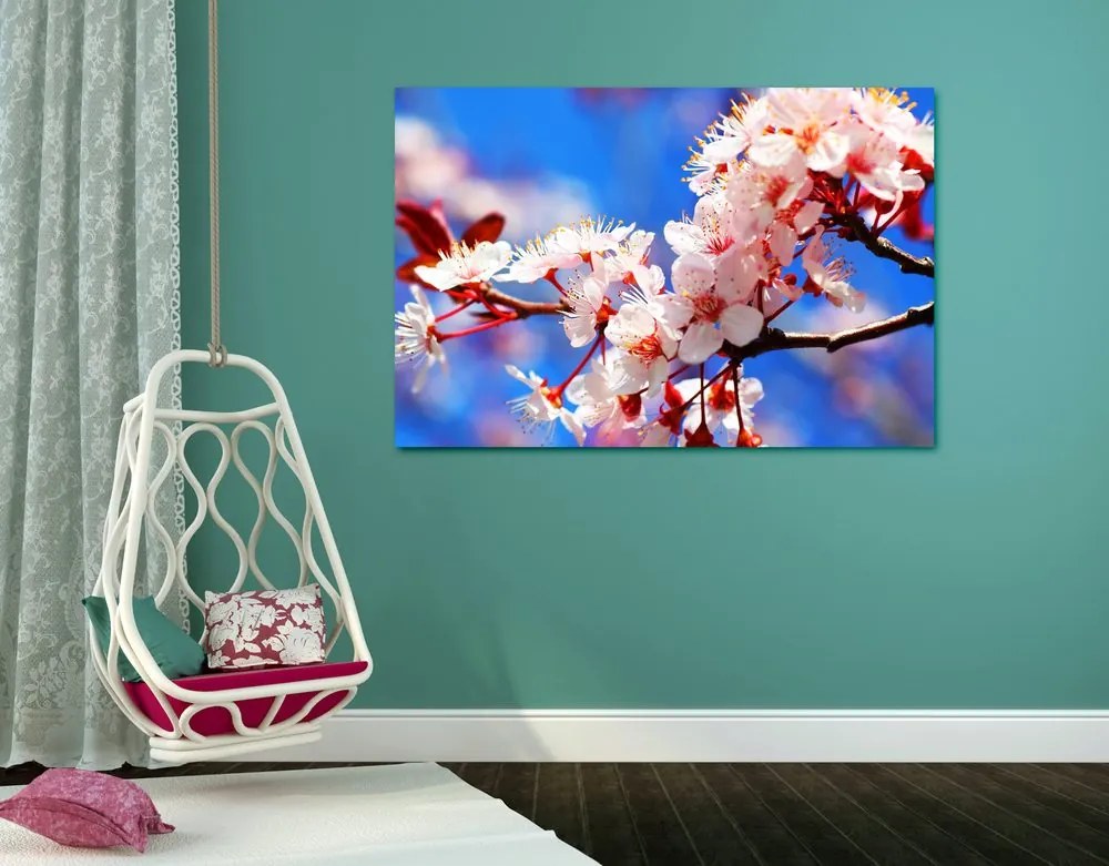 Quadro su tela – Fiore di ciliegio