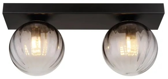 Globo 15216-2 - Plafoniera DALLERTA 2xG9/10W/230V