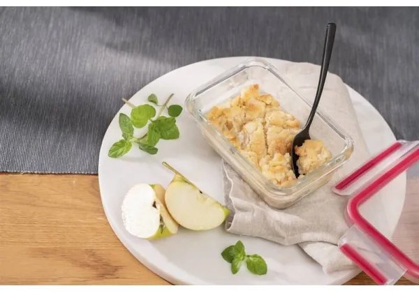 Tefal - Contenitore per alimenti 0,45 l MSEAL GLASS rosso/vetro