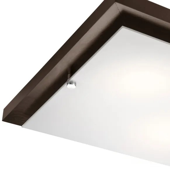 Lampada da soffitto 2xE27/60W/230V