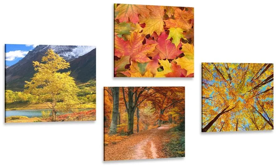 Set di quadri – Natura autunnale in colori splendidi