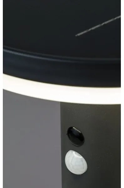 Rabalux 77017 - Luce solare a LED con sensore ALASKA LED/10W/3,7V IP44