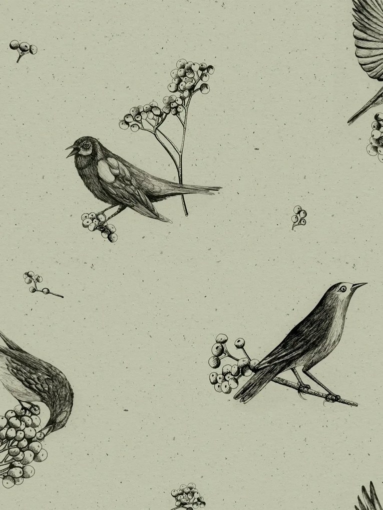 Coordonne Carta da parati Sweet Birds - Matcha