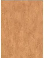 Essentials Tapete Manchas - Burnt Orange