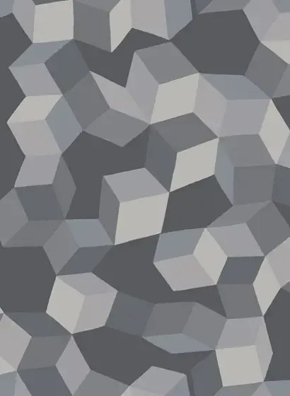 Cole & Son Carta da parati Puzzle - Grey/ Black