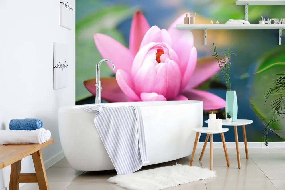 Fotomurale – Splendido fiore rosa sul lago