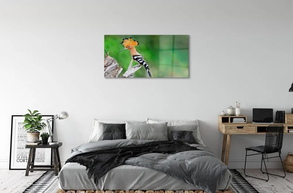 Quadro in vetro Pappagallo color albero 100x50 cm 2 appendini