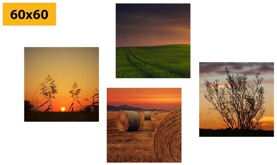 Set di quadri – Tramonto romantico sul prato