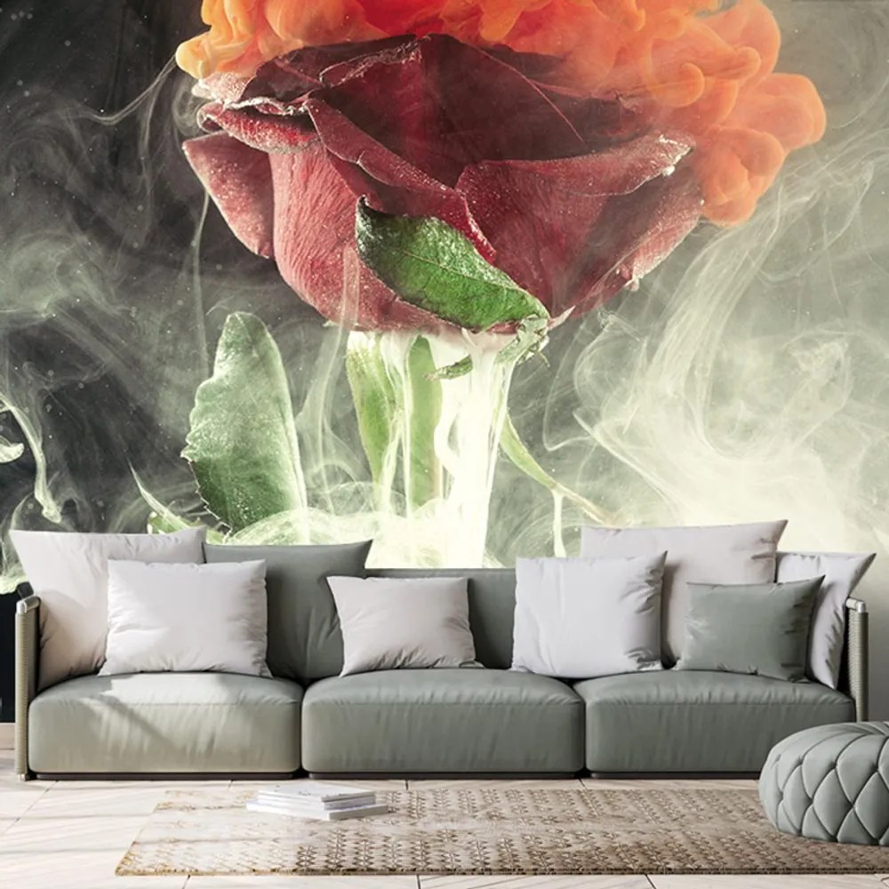 Carta da parati – Rose con elementi astratti