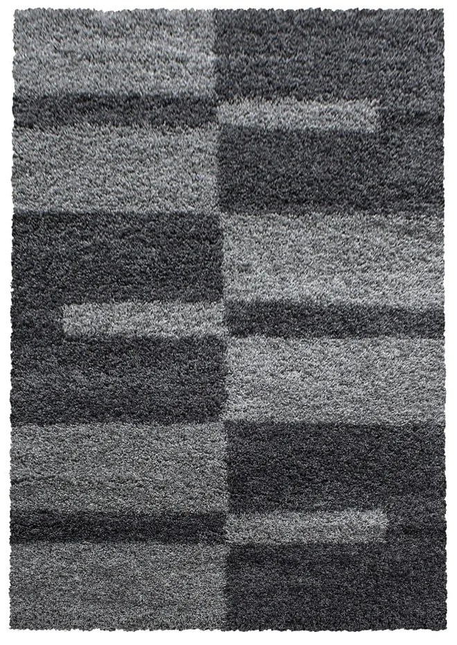 Tappeto grigio scuro 120x170 cm Gala - Ayyildiz Carpets