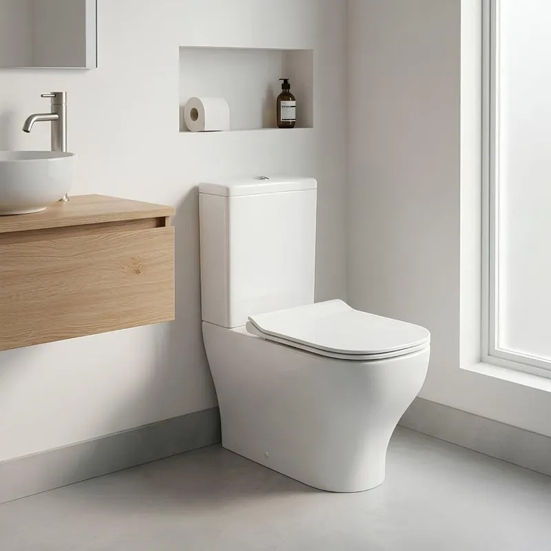 WC monoblocco DF 25 sedile escluso P63 x L37 x H77 cm bianco, compresi cassetta e batteria interna.